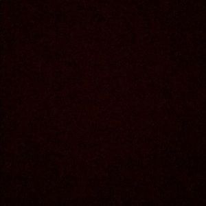 Meet your Posher, Riley